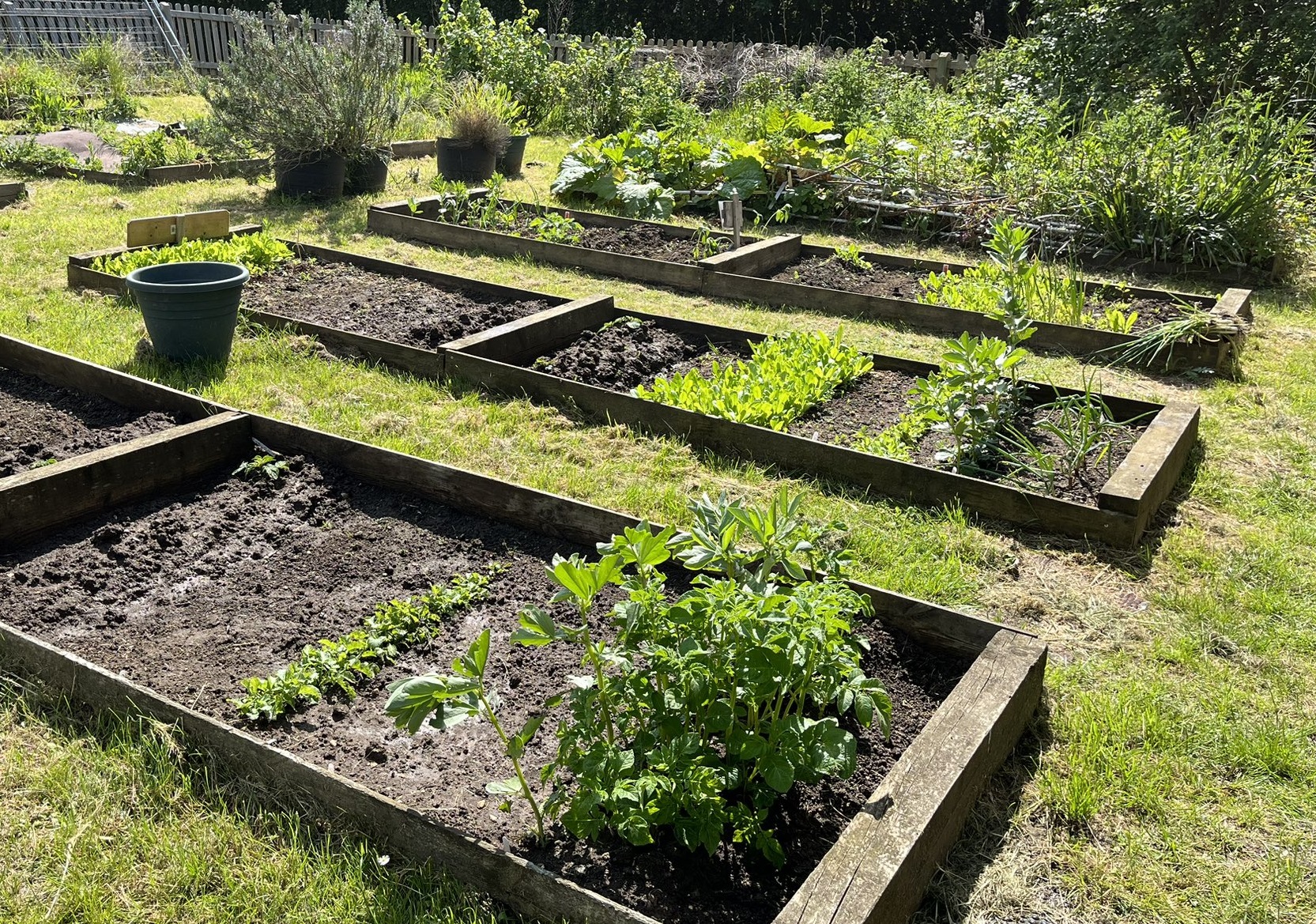 The Mead School, Trowbridge Teaching Jobs & Education Jobs MyNewTerm